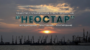 Экспедирование экспортных, импортных и транзитных грузов в портах Мариуполя и Бердянска от компание НЕОСТАР